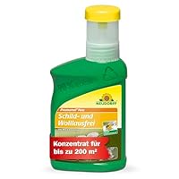 Neudorff Promanal Neu Schild- und Wolllausfrei – Konzentrat bekämpft Schild- und Wollläuse sowie Spinnmilben an hartlaubigen Zierpflanzen wie z.B. Oleander und Olive, 250 ml