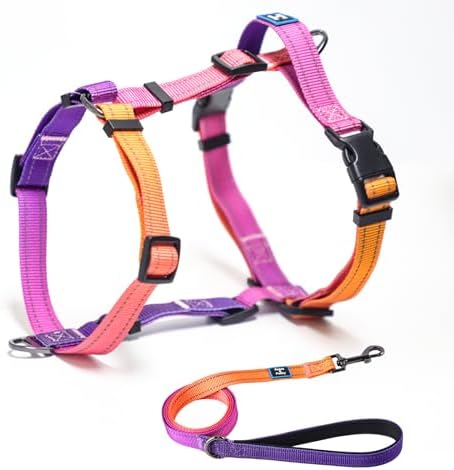 Roses&Poetry Small Dog Harness and Leash Set, No Pull Dog Harness Adjustable Reflective, Dog Halter Harnesses Comfort Padded Handle, Pet Harness for Training Outdoor Walking（Mistyrose-S