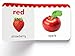 My First Complete Learning Library: Boxset of 20 Board Books I Perfect Gift Set for Toddlers I Ages 0 to 5