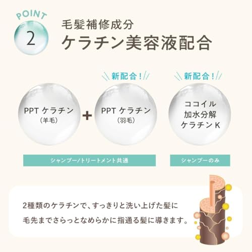 CLAYGE(クレージュ) クレージュ シャンプー トリートメント SR の商品画像 7