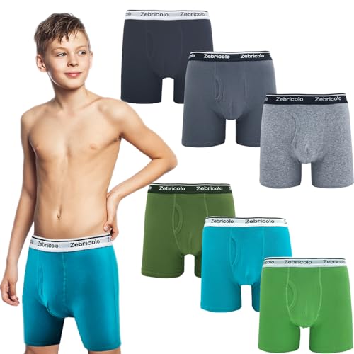 Zebricolo Boys Underwear,Fits True To Size,Boys Boxer Briefs,100% Soft And Breathable Cotton,Boys Underwear Size 16-18,No Built-In Labels,Boys Underwear,Elastic Waistband Prevents Pinching And Discomfort,6-Pack cover