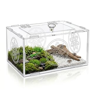 Fuxunamz terrarium acrylique transparent de 20 x 15 x 10 cm