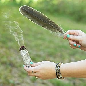 Purple Canyon Smudge Kit Beginners Gift Set 3 White Sage Smudge Sticks 2 Palo Santo Abalone Shell Smudge Feather wStand Smudging Guide for Home Cleansing Healing Meditation Rituals