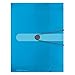 Produktbild Herlitz Sammelbox A4 PP mit Rückenetikett, 1 Stück mit Design-Aufdruck, Rückenbreite 4 cm, transparent blau