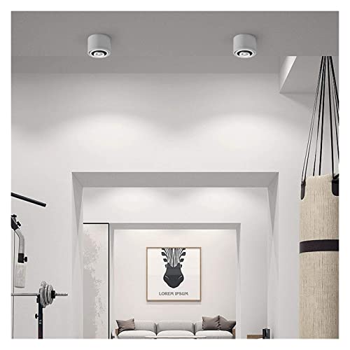 Downlight LED dimmable blanc AC85V-265V pour transformer votre chambre en cocon