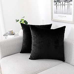 NiNi ALL Decorative Throw Pillow Covers Pack of 2, Velvet Throw Pillow Cases for Couch Pillows Cover Bedroom Living Room Outdoor, Pillow Covers 18x18 Inch Black NiNi ALL Decorative Throw Pillow Covers Pack of 2 Velvet Throw Pillow Cases for Couch Pillows Cover Bedroom Living Room Outdoor Pillow Covers 18×18 Inch Black