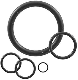 Chemglass CG-308K-205, Kalrez 4079 O-Ring, 205