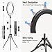 Ring Light,19inch LED Ring Light with Stand &LCD Display Adjustable Color Temperature 3000K-5800K, Makeup Light for YouTube Video Shooting, Portrait, Vlog, Selfie 【Upgraded Version】