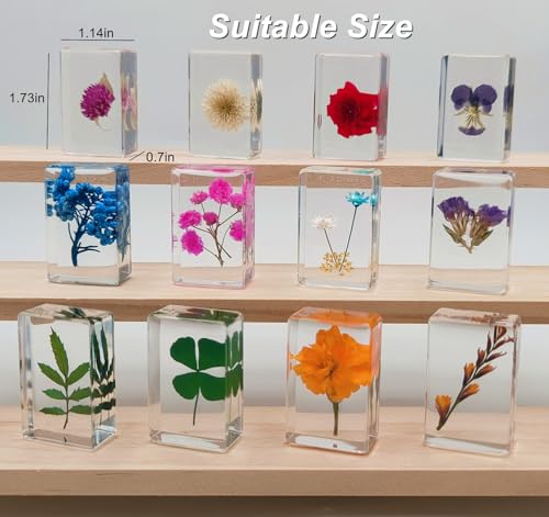 image for Mgrlfbl 12 Pcs Flower in Resin Plant Specimen Flowers Paperweight Spec