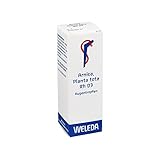 Arnica Planta Tota Rh D 3 Augentropfen