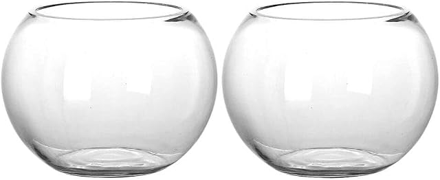 Mipcase Flower Pot Glass Fish Bowl 2pcs: Tabletop Fish Tank Ecological Plants Terrarium Hydroponic Terrarium Aquarium Betta Fish Fish Bowl Office Table Decor Fish Tanks