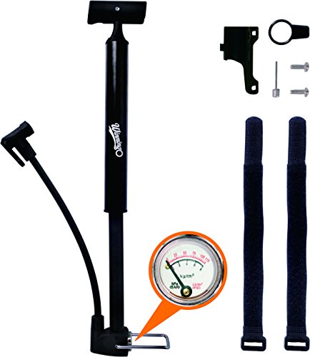 WINNINGO Mini Bike Tire Pump with Gauge Portable Bike Floor Pump High Pressure Mini Mountain Bike Pump Fits Presta Valve (Black)
