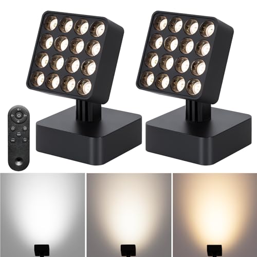 Image of 12V LED Indoor Plant Spotlight, Adjustable Angle Floor lamp with Remote dimming, Suitable for Dark Corners, Living Rooms, Sofas, Indoor Plants, Walls, Artworks (2pack)