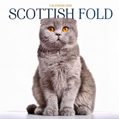  Scottish Fold Cat 2026 Calendar: Adorable Companions with Folded Ears