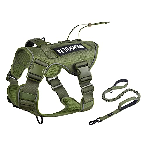 Top 10 Best Service Dog Vest Petco Reviews & Buying Guide Katynel