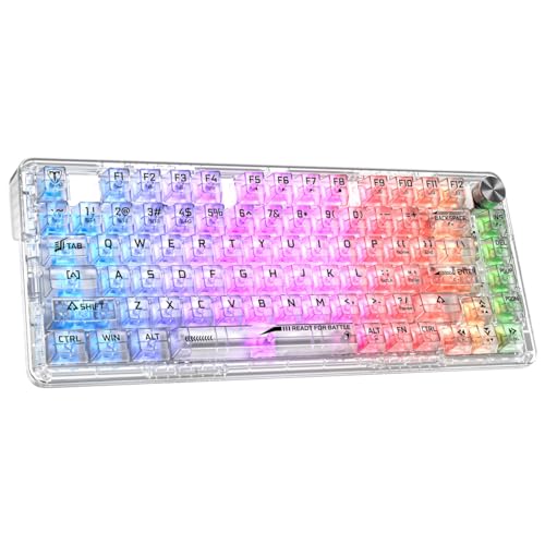 RisoPhy Mechanical Gaming Keyboard, Tri-Mode...