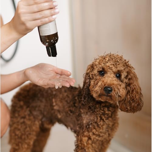 LILA LOVES IT Fellkur Silky & Shine - Natürliche Pflege für EIN glänzendes Hundefell & exzellente Kämmbarkeit, regeneriert pflegebedürftige Haut, mit Aloe Vera & Jojobaöl, 250ml