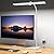 Kary White LED Desk Lamps for Home Office, Tall Computer Desk Light,Flexible Gooseneck Adjustable Office Lamp,Dimmable Desk Lamps for Office,Drawing,Reading,Crafts,Gaming,Workbench,Architect,Study