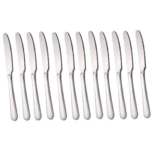 AURSTORE BASA Lot de 12 Couteaux de Table, Couteaux à Steak en Acier Inoxydable , Longueur 22,8cm(7,87pouce) (12)