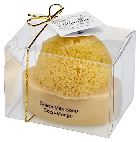 The Grecian Soap Company Goat's Milk & Olive Oil Soap with an Embedded Natural Sea Sponge - Coco-Mango