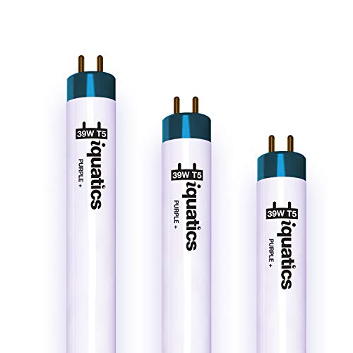 iQuatics Aquarium Tropical Fish Tank Fluorescent Light Bulb T5 (3 Pack), Purple, 39w 850mm 34"