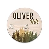 Baby Announcement Sign, Birth Stat, Hospital sign, Gender Reveal Baby Photo Props, Wooden Name Sign,...