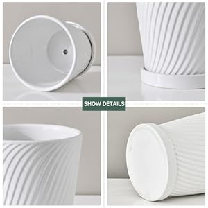 Ton Sin Plant Pots,White 6 Inch Flower Pots for Plants,Ceramic Planter with Drainage Holes,Indoor Planter Pots with Saucer,Outdoor Garden Pots (White, 4 Pack) Ton Sin Plant PotsWhite 6 Inch Flower Pots for PlantsCeramic Planter with Drainage HolesIndoor Planter Pots with SaucerOutdoor Garden Pots White 4 Pack