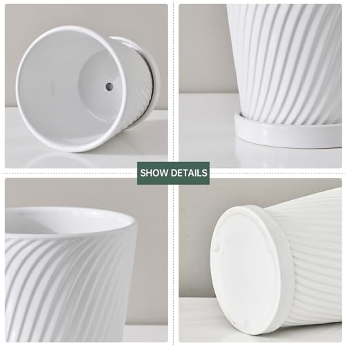 Ton Sin Plant Pots,White 6 Inch Flower Pots for Plants,Ceramic Planter with Drainage Holes,Indoor Planter Pots with Saucer,Outdoor Garden Pots (White, 4 Pack) - Image 5