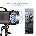Neewer 500W Studio Strobe Flash Photography Lighting Kit: (2)Monolight,(2)Softbox,(1)RT-16 Wireless Trigger and Receiver, (2)33 inches Translucent Umbrella for Video Portrait Location Shooting(N-250W)