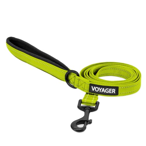Image of Best Pet Supplies Voyager Reflective Dog Leash or Collar with Neoprene Handle, for Small, Medium, and Large Breed Puppies, Cute and Heavy Duty for Walking, Running and Training - Lime Green (Leash), L