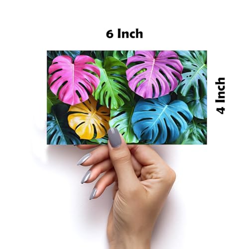 Image of SiddArtify Tropical Botanical Wall Art Prints Set - Colorful Plant Poster Decor for Living Room Bedroom Office - Set of 2-4x6 Inch - Board (Pack of 6) - Sticker (Pack of 6)