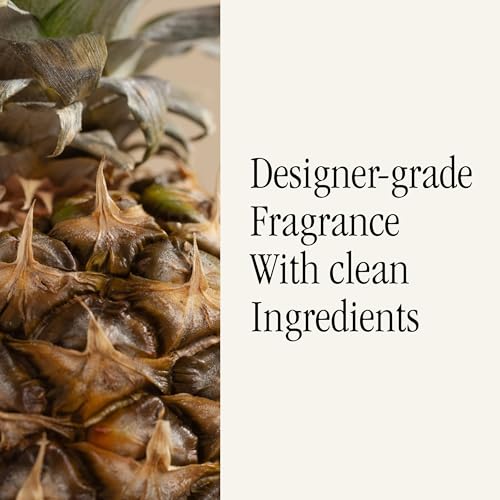 Image of Pura x Tommy Bahama Home Diffuser Refill, 2 Pack, Pineapple Cilantro
