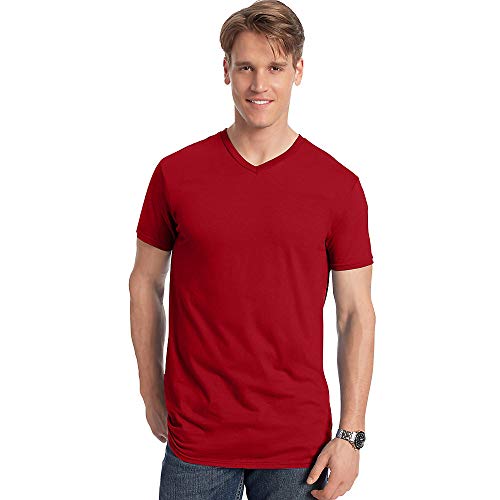 Hanes Men's Nano Premium Cotton V-Neck T-Shirt (Pack of 2)2
