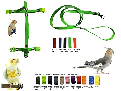 Arnés para conuro del sol ajustable de 10 mm para loros y aves pequeñas 6