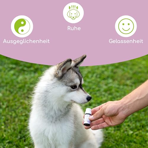 AGGRESSIONS FREI Bachblüten Globuli für Hunde & Katzen – 1.200 Bio-Zucker Globuli bei aggressivem Verhalten & Bissigkeit – Natürliche Blütenessenzen für Gelassenheit