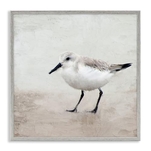 Lone Sandpiper Coastal Bird Portrait, 17 x 17 Inch Framed Giclée Print
