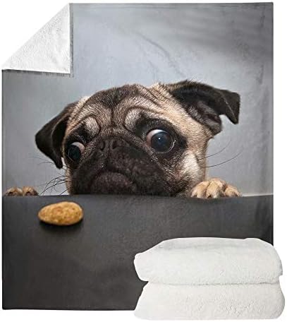 chaqlin Cute Animal Pug Fleece Blanket Lightweight All-Season Flannel Blanket,Ultra-Soft Traveling Camping Plush Blanket,for Kids Toddler Teens and Adults-110x140 cm