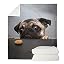 Animal Pug