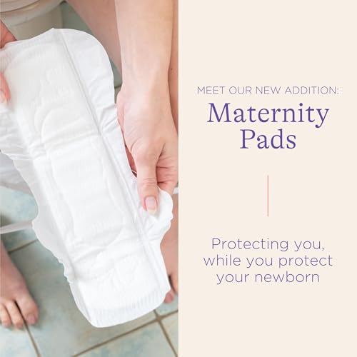 Lansinoh Postpartum Pads Bundle thumb #1
