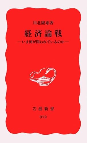 経済論戦: いま何が問われているのか (岩波新書 新赤版 972)