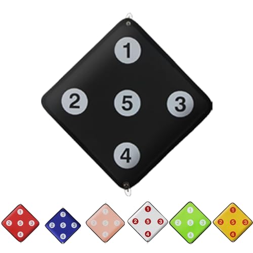 KXJPIZIYB Fencing Target Double-Sided Leather Fencing Gear Fencer Training Target Five Bullseye for Saber Foil and Epee Training(Black)