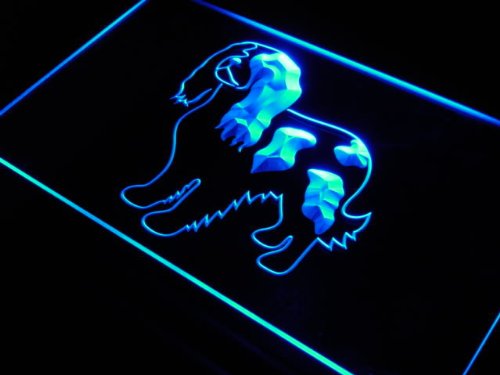 Enseigne Lumineuse j516-b Cavalier King Charles Spaniel Dog NEW Light Sign