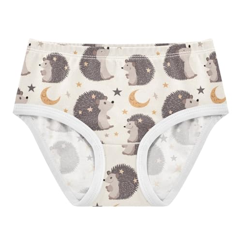 Wusikd Cute Hedgehog Girls' Underwear Cotton Stars Moons Girls Briefs Soft Toddler Underwear 2T