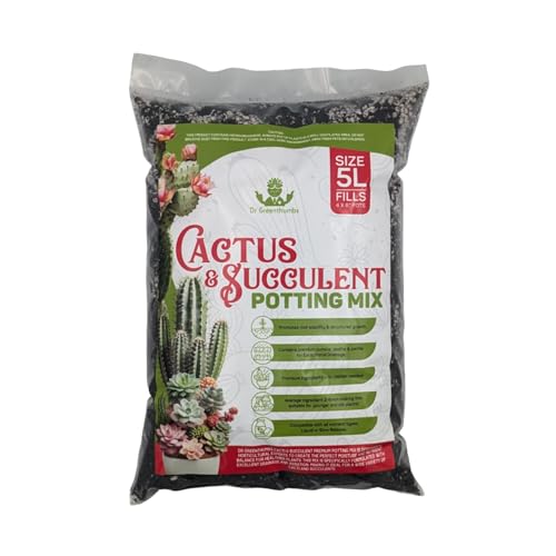 succulent and cactus soils