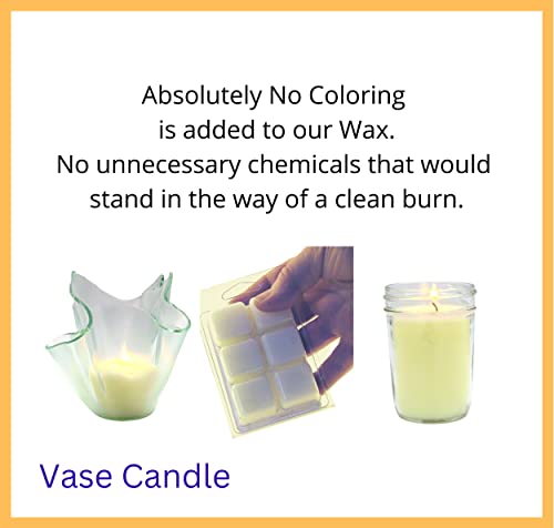 Blackberry Amber Vase Candle - A Delightful Blend Of Blackberry And Amber. (Refill Candle) #TOP1