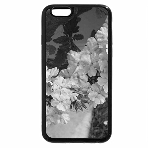 IPhone 6S Plus Case, iPhone 6 Plus Case (Black &