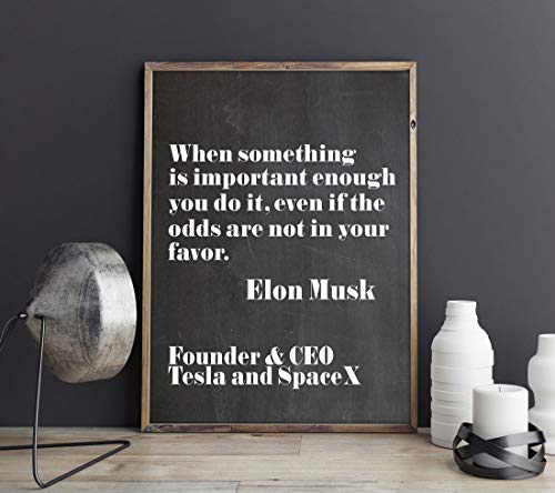 Frase de Elon Musk de 33x48cm, el regalo para emprendedores y creadores de startups