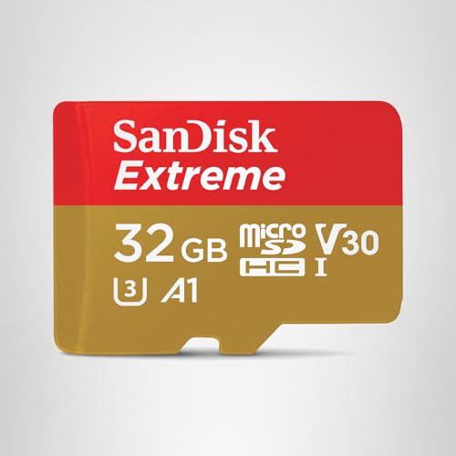 SanDisk Extreme 256GB microSD