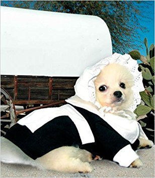 Puppe Love Pilgrim Girl Costume for Dogs - Size 6 (16' l x 20.5' - 23.25' g)