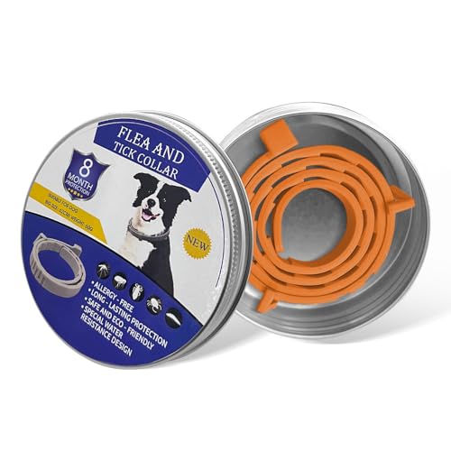 XFSRG Collar Natural Perro Gato antiparasitario Ajustable 8 Meses protección Collar Fragancia Mascotas Accesorio aromático Animales Repelente pulgas garrapatas Impermeable hipoalergénico